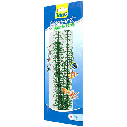 Tetra DecoArt Anacharis 2 (M) Растение аквариумное – интернет-магазин Ле’Муррр