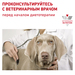 Royal Canin Diabetic Special Low Carbohydrate Влажный лечебный корм для собак при заболевании диабетом – интернет-магазин Ле’Муррр